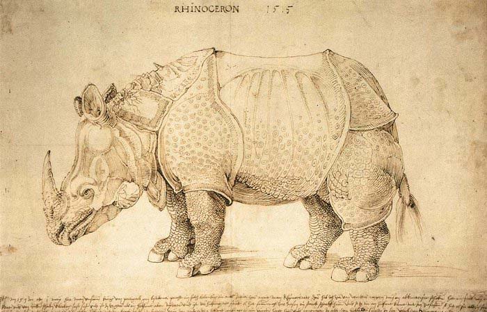 Rhinoceros